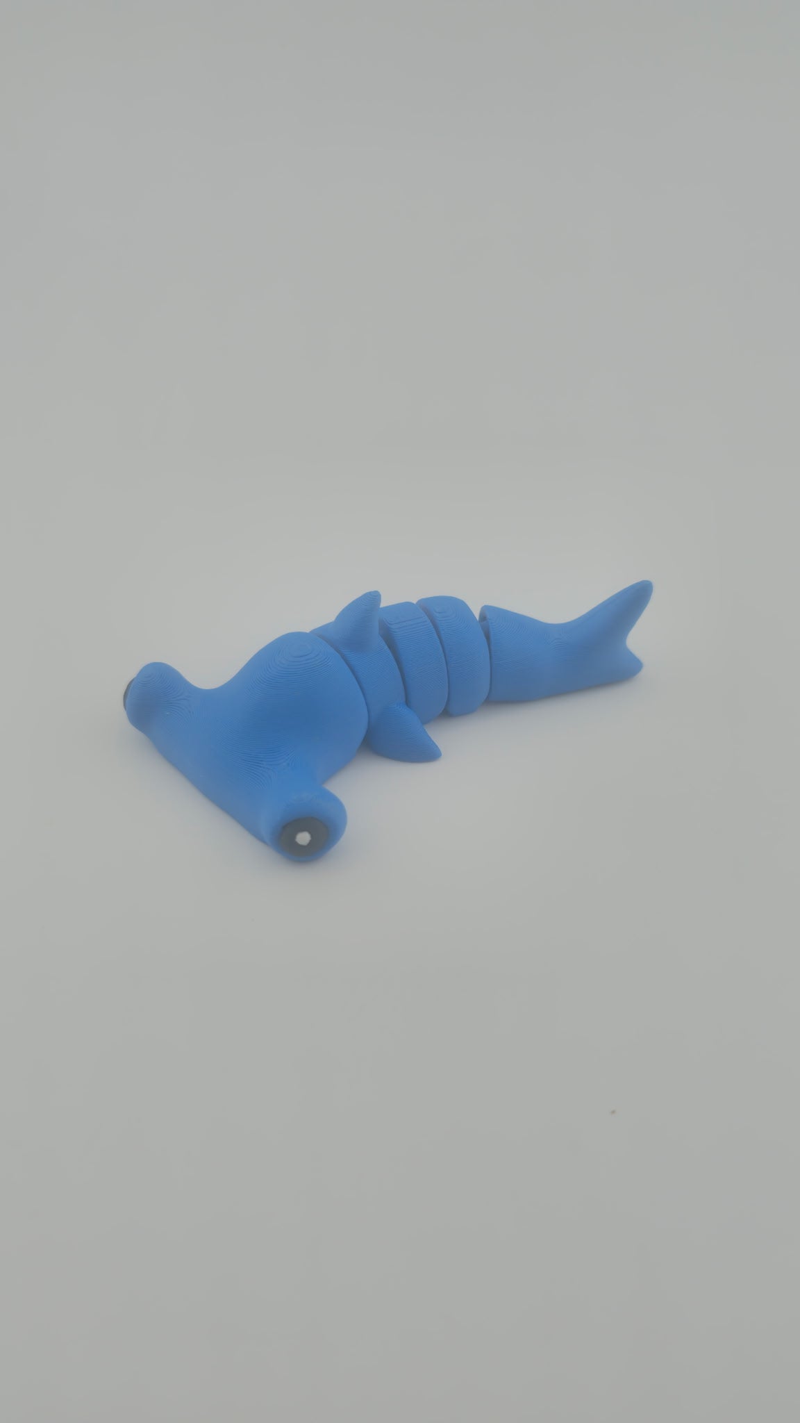 Cute Flexi Hammerhead Shark