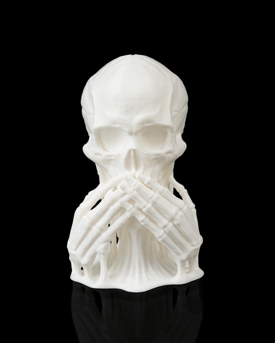 Skulls of Wisdom