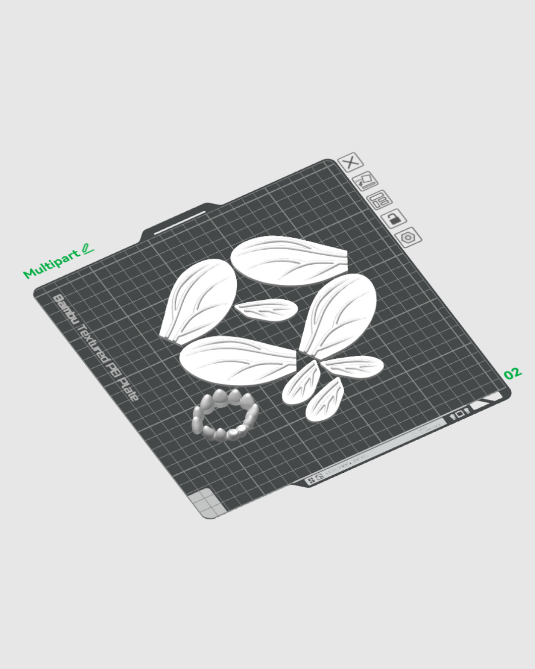 The Fly Man