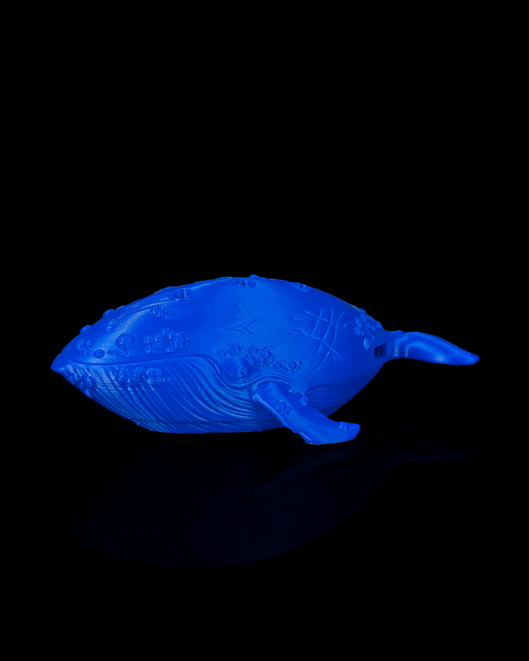 Whale Ocarina