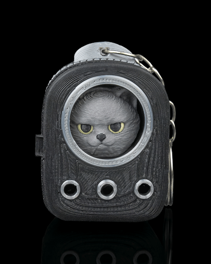 CatPacks-Mystery Pack