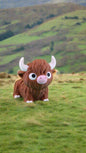 Chill Highland Cow
