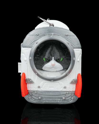 CatPacks-Mystery Pack
