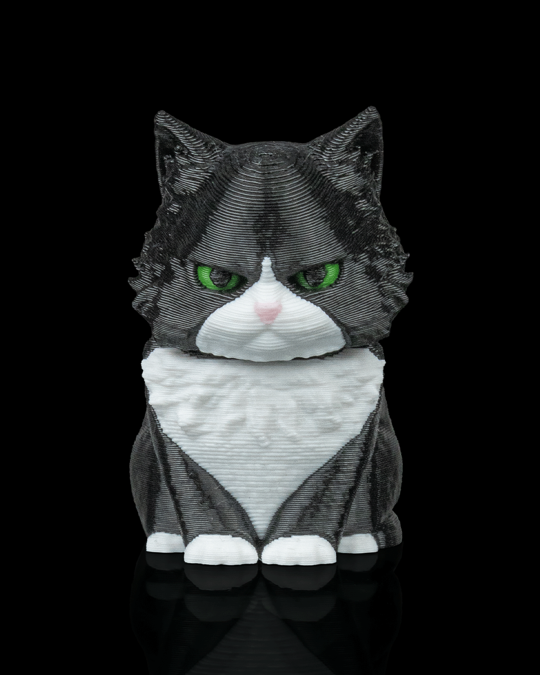 CatPacks-Mystery Pack