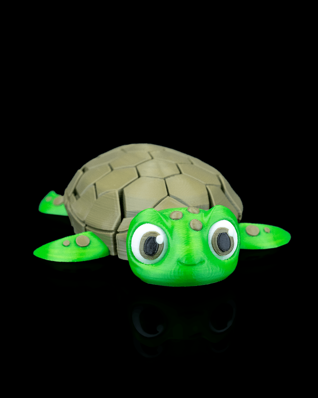 Myrtle, the Turtle