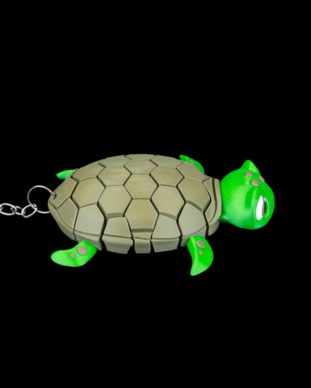 Myrtle, the Turtle