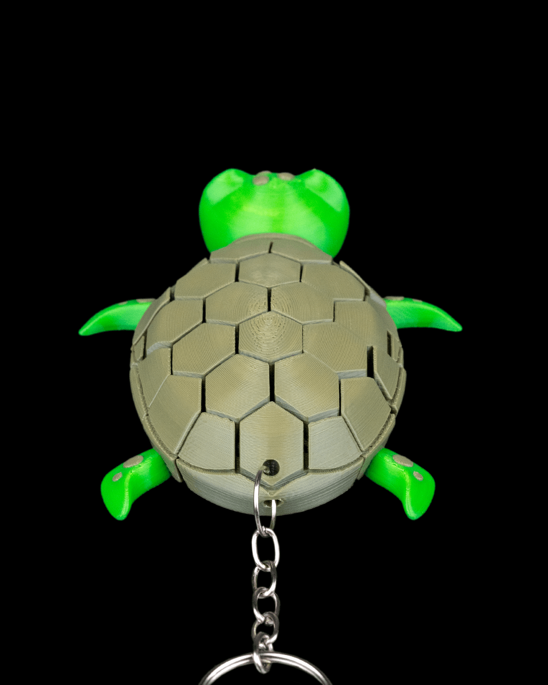 Myrtle, the Turtle