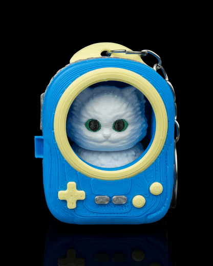 CatPacks-Mystery Pack