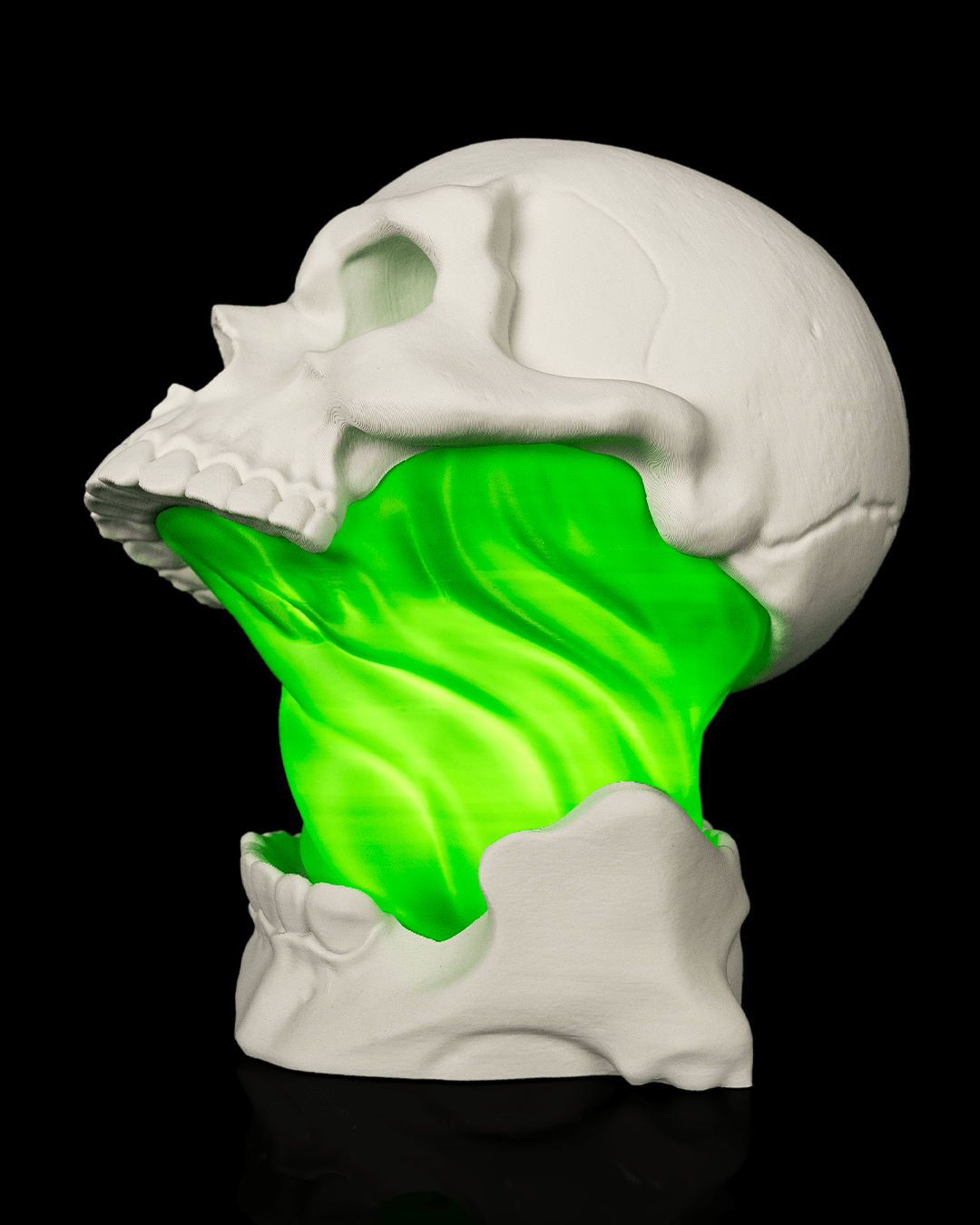 Skull Gut Table Lamp