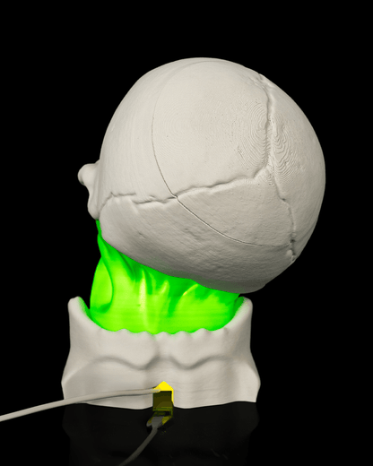 Skull Gut Table Lamp