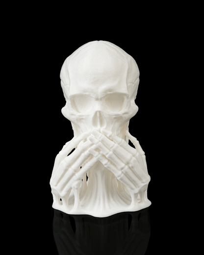 Skulls of Wisdom