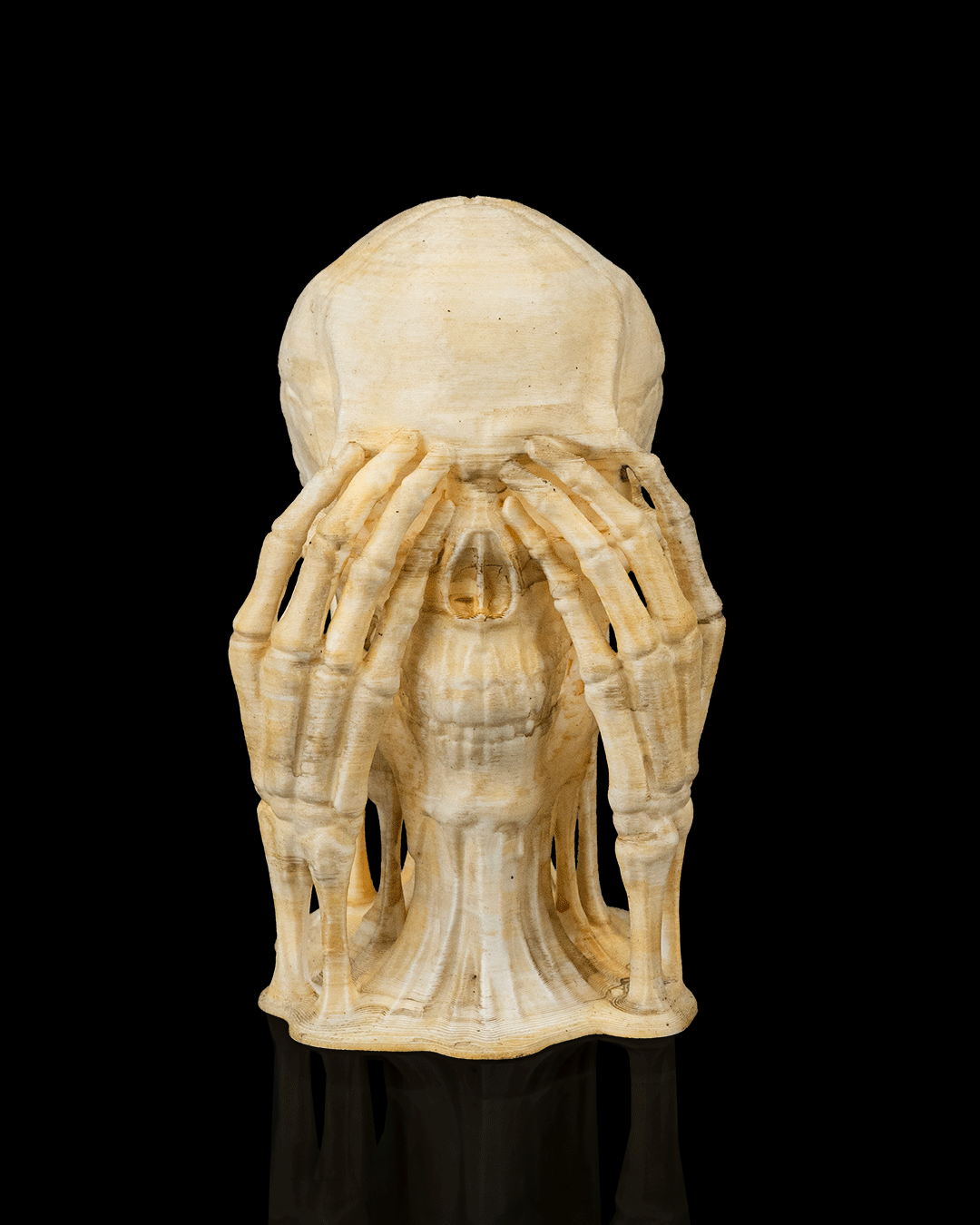 Skulls of Wisdom