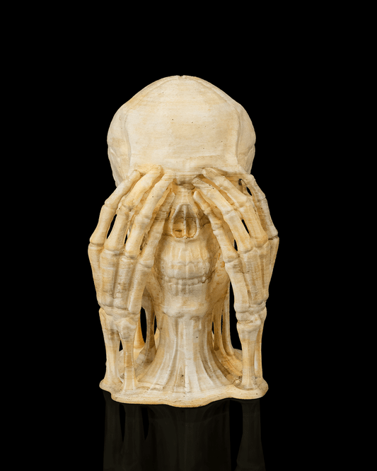 Skulls of Wisdom