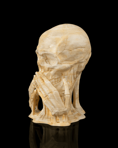 Skulls of Wisdom