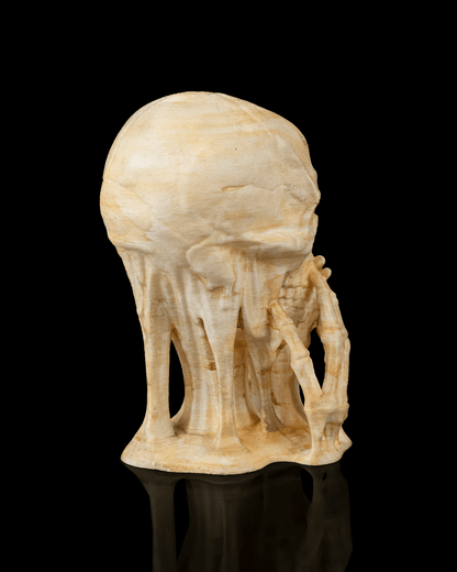 Skulls of Wisdom