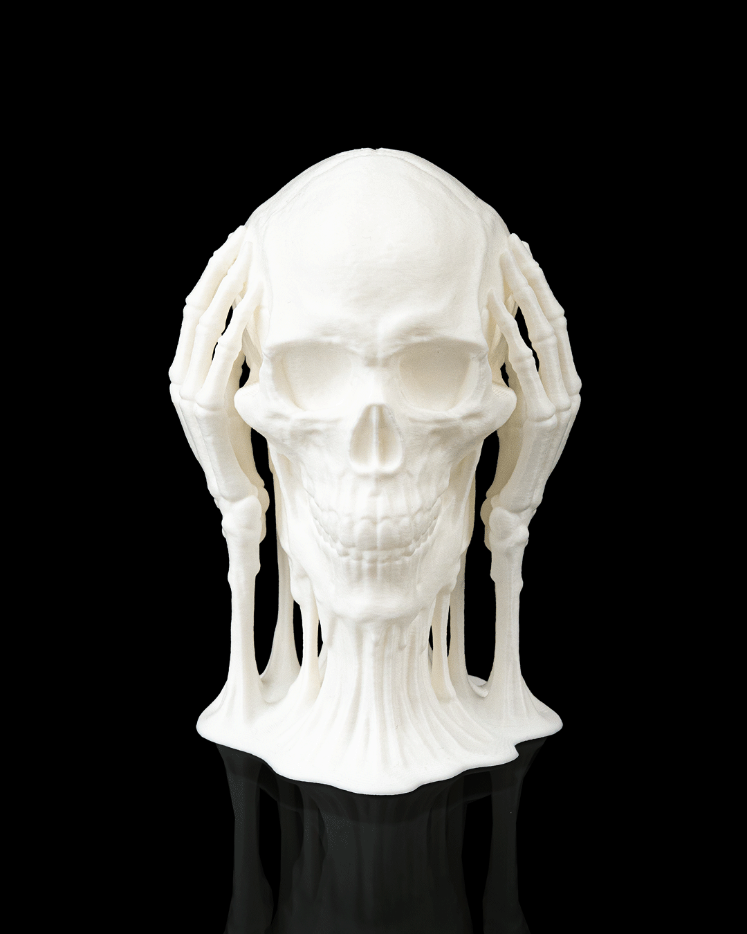 Skulls of Wisdom