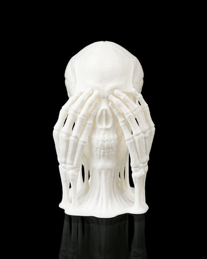 Skulls of Wisdom
