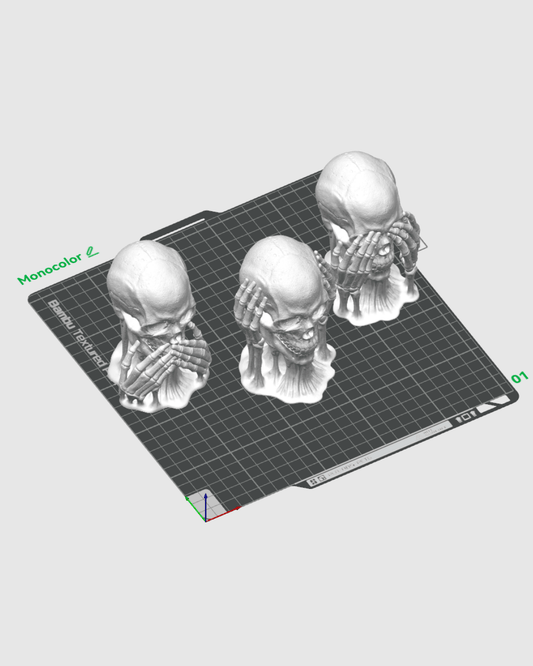 Skulls of Wisdom