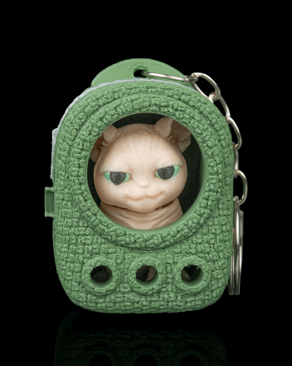 CatPacks-Mystery Pack