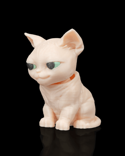 CatPacks-Mystery Pack