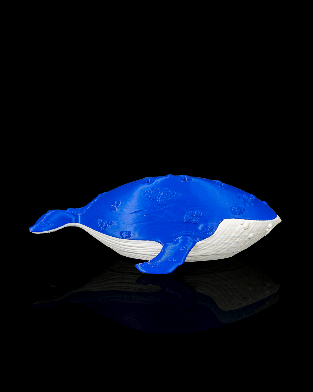 Whale Ocarina