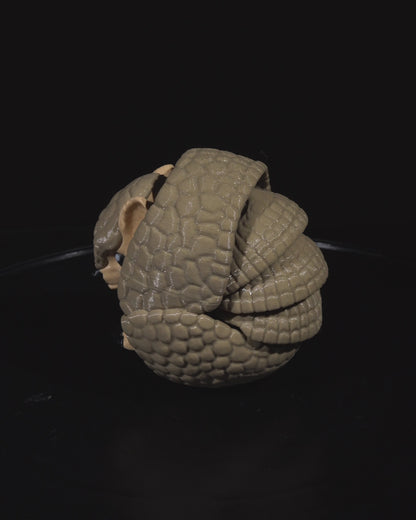 Armadillo